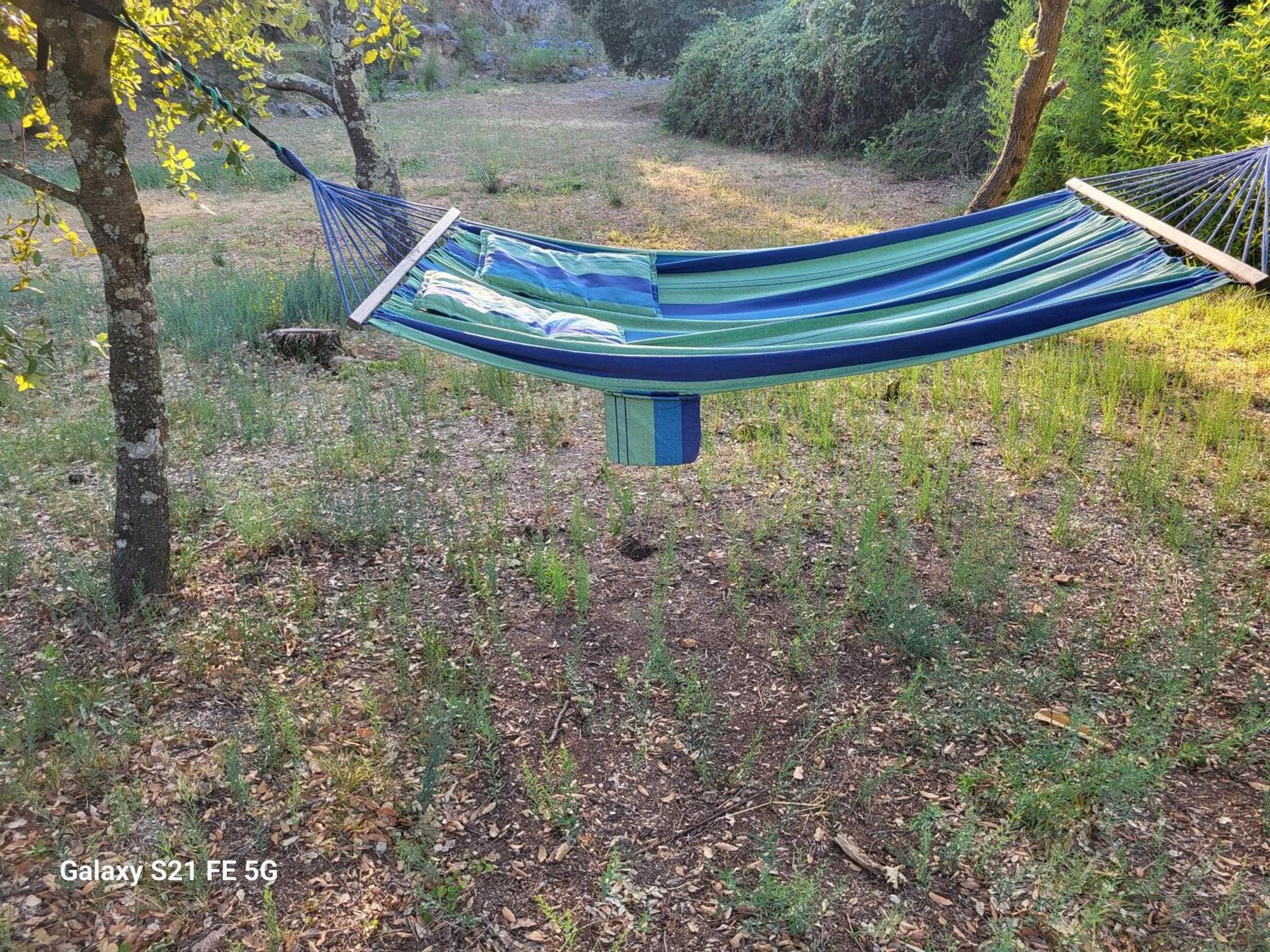 Un Ecrin De Verdure Et Plus.. Besse-sur-Issole Kültér fotó